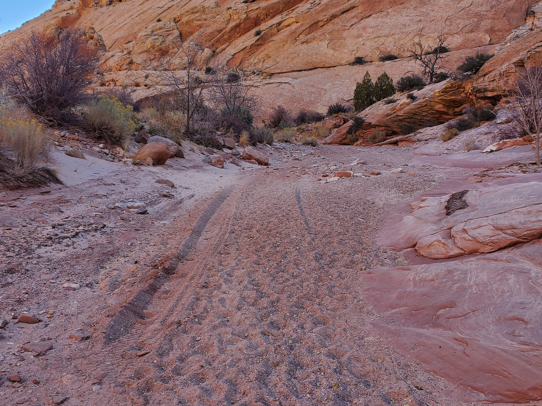 Capitol Gorge Trail景点图片