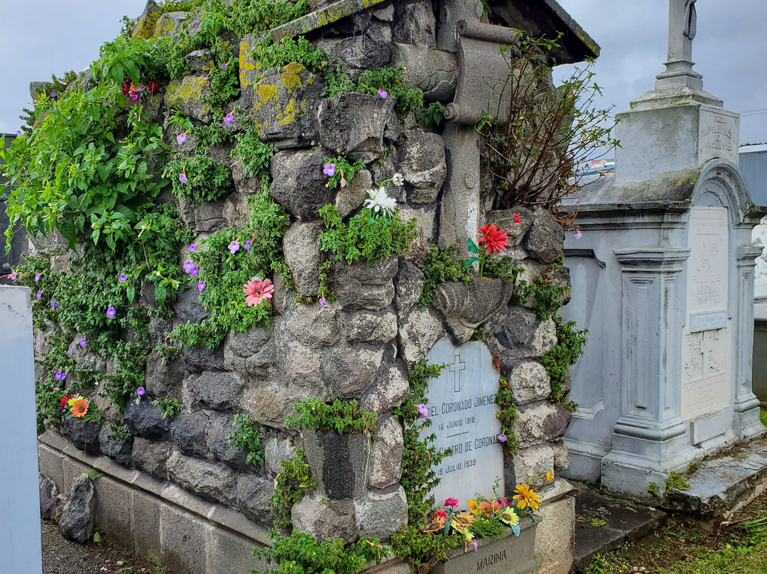 Cementerio de Obreros景点图片