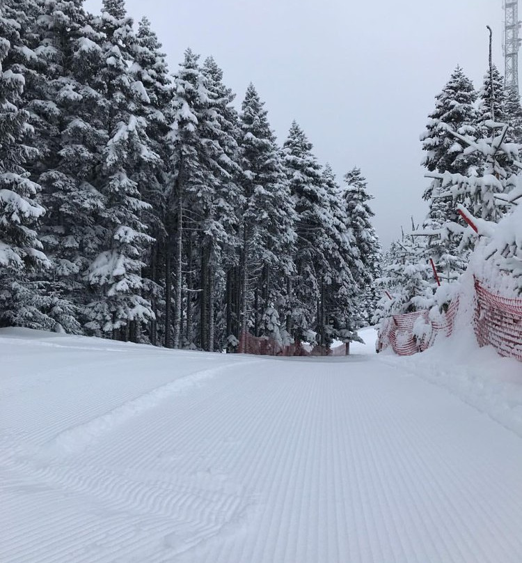 The Sign Esentepe Hotel & Ski Center主图