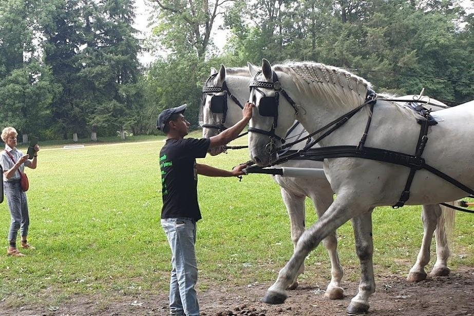 Transylvania Tour-布拉索夫必去景点