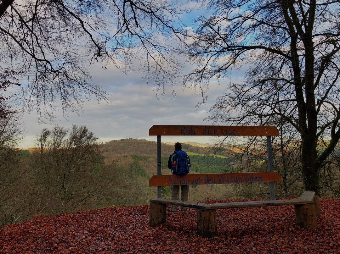 Pension am Lieserpfad主图