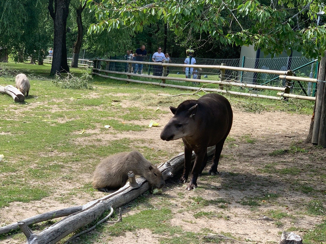 Parken Zoo-埃斯基尔斯蒂纳必去景点