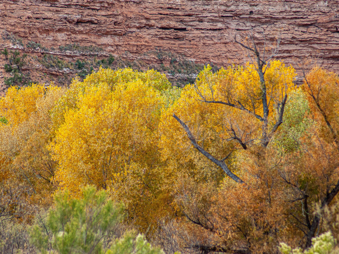 Verde River Access Point (TAPCO)