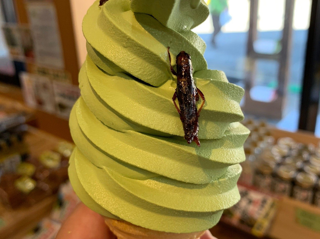 Michi no Eki Furusato Toyota-中野市必去景点