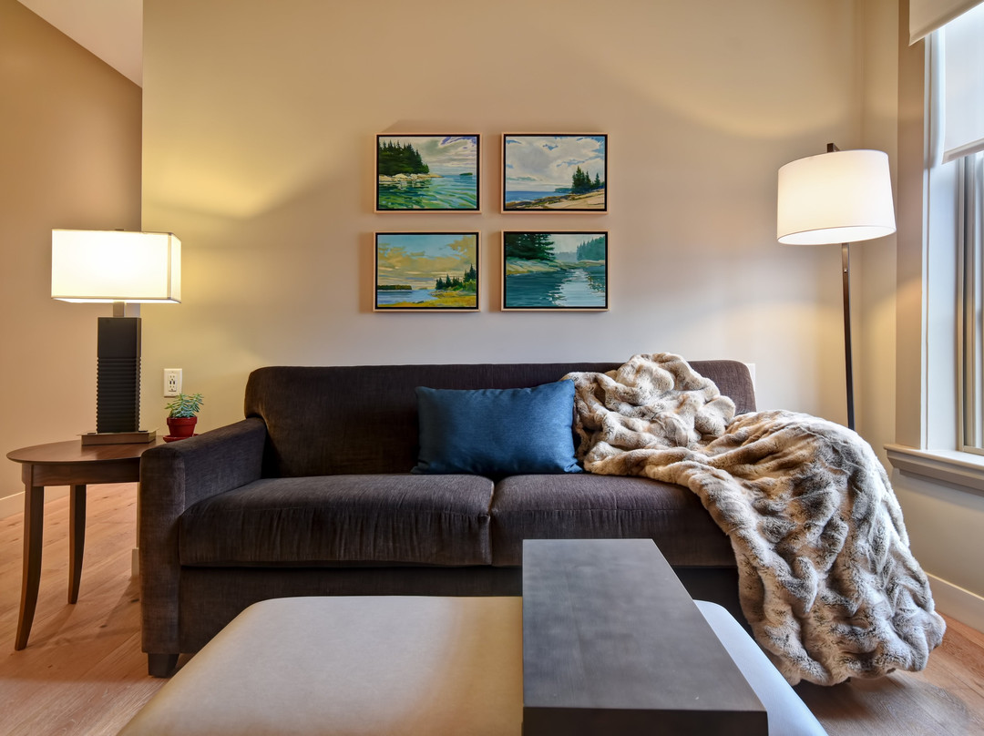 The Docent's Collection主图