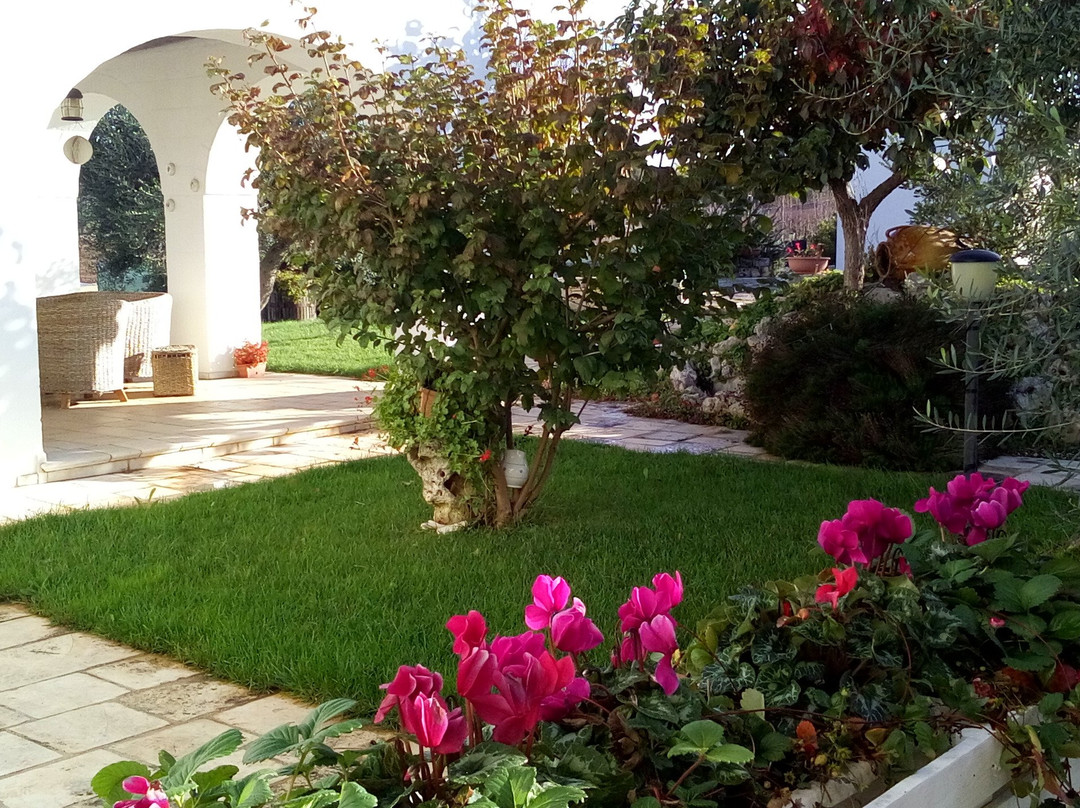 Coppola di Seta主图