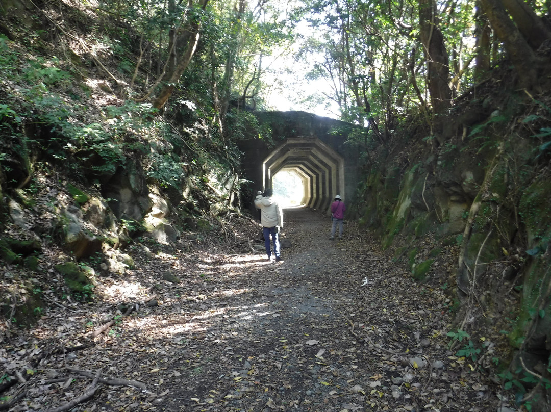 Hakkaku Tunnel景点图片