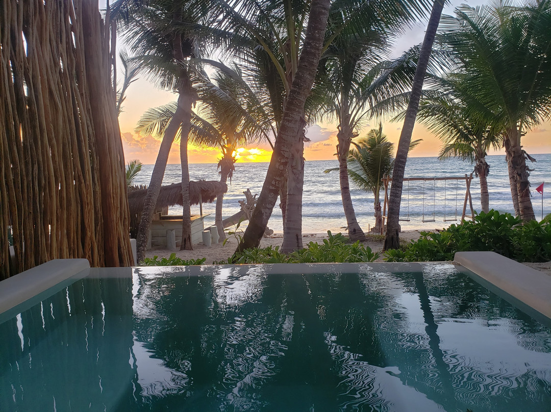 图卢姆小屋主图