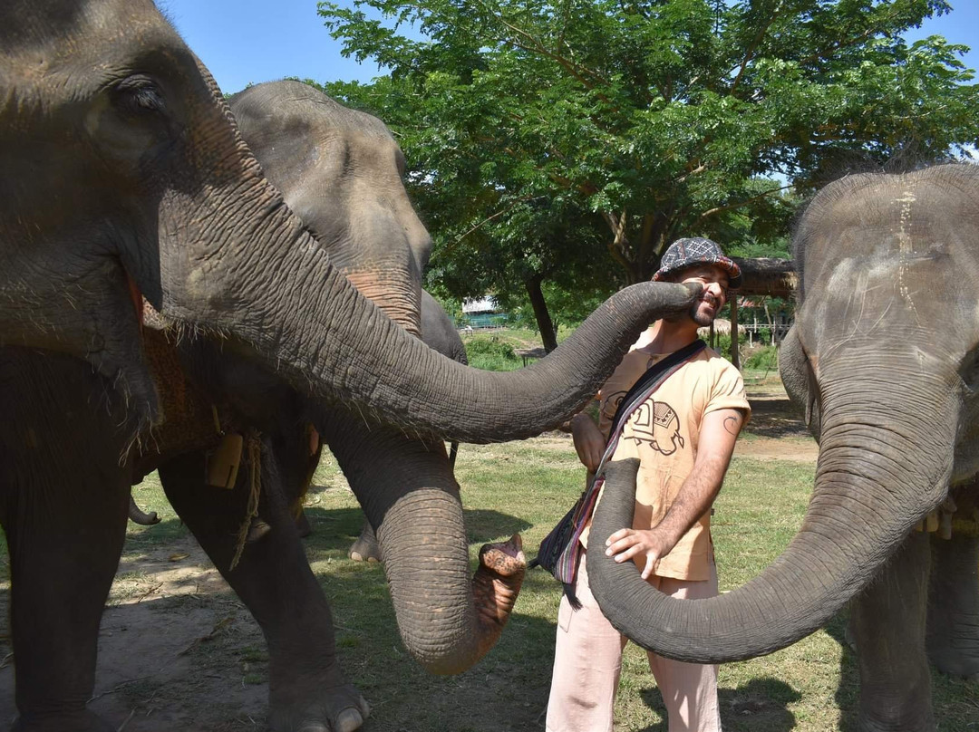Maeklang Elephant Conservation Community-Mae Win必去景点