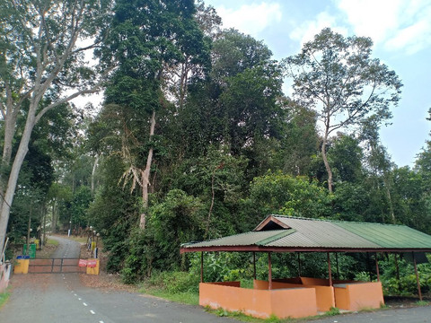 Bera Lake-直凉必去景点
