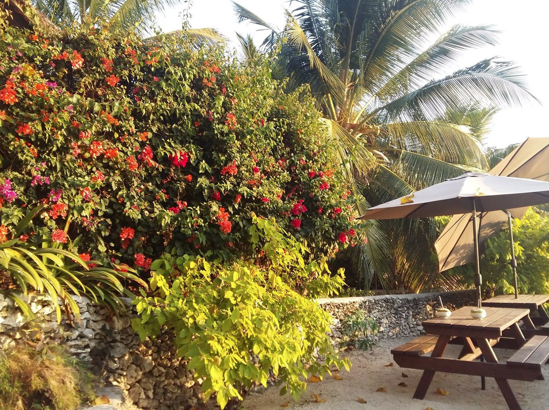 Tanna Evergreen Resort & Tours主图