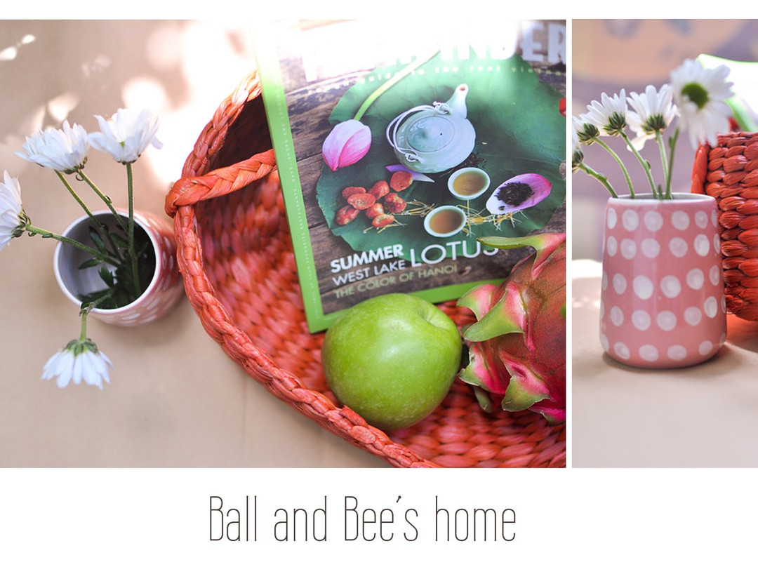 Ball & Bee's Home-岘港必去景点