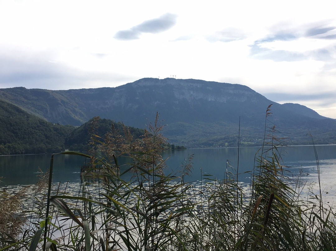 Maison du Lac d'Aiguebelette - Savoie景点图片