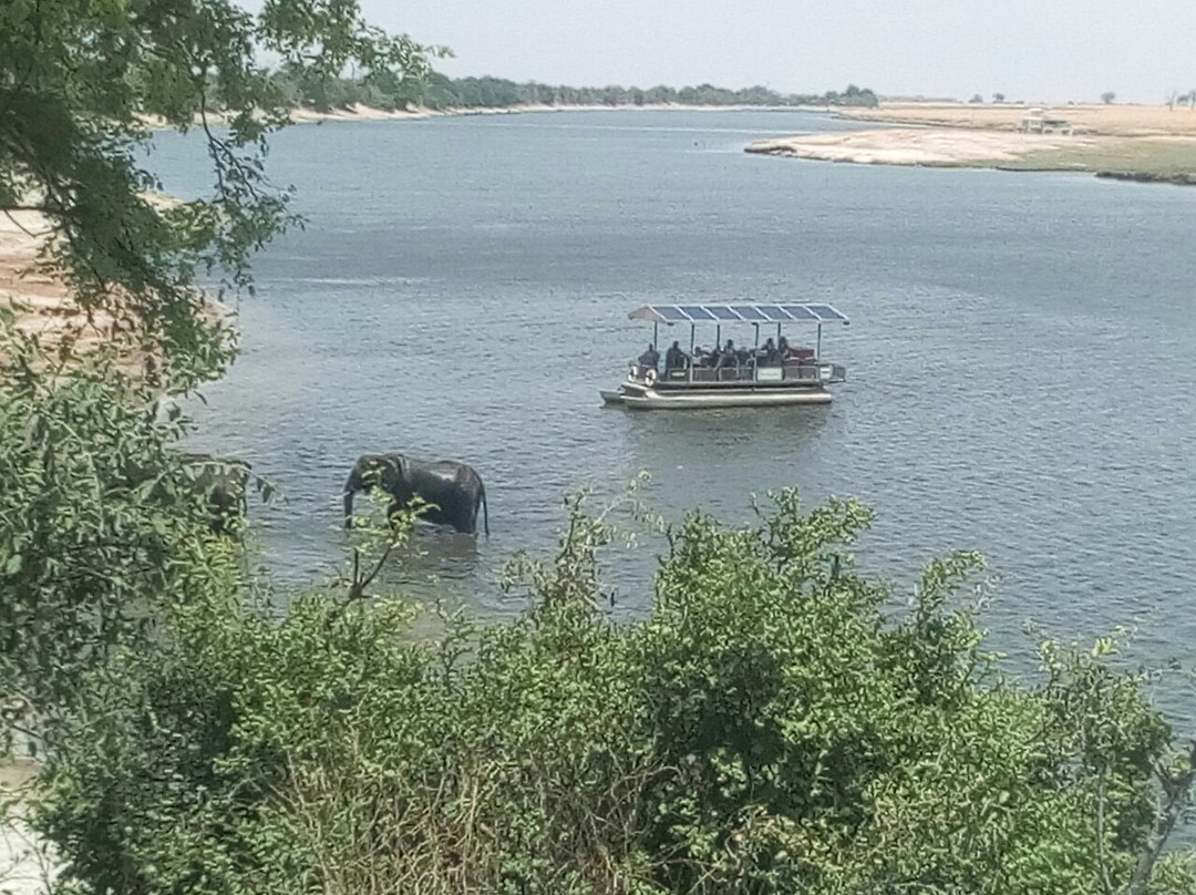 Arnolubi Safaris & Tours-李文斯顿必去景点