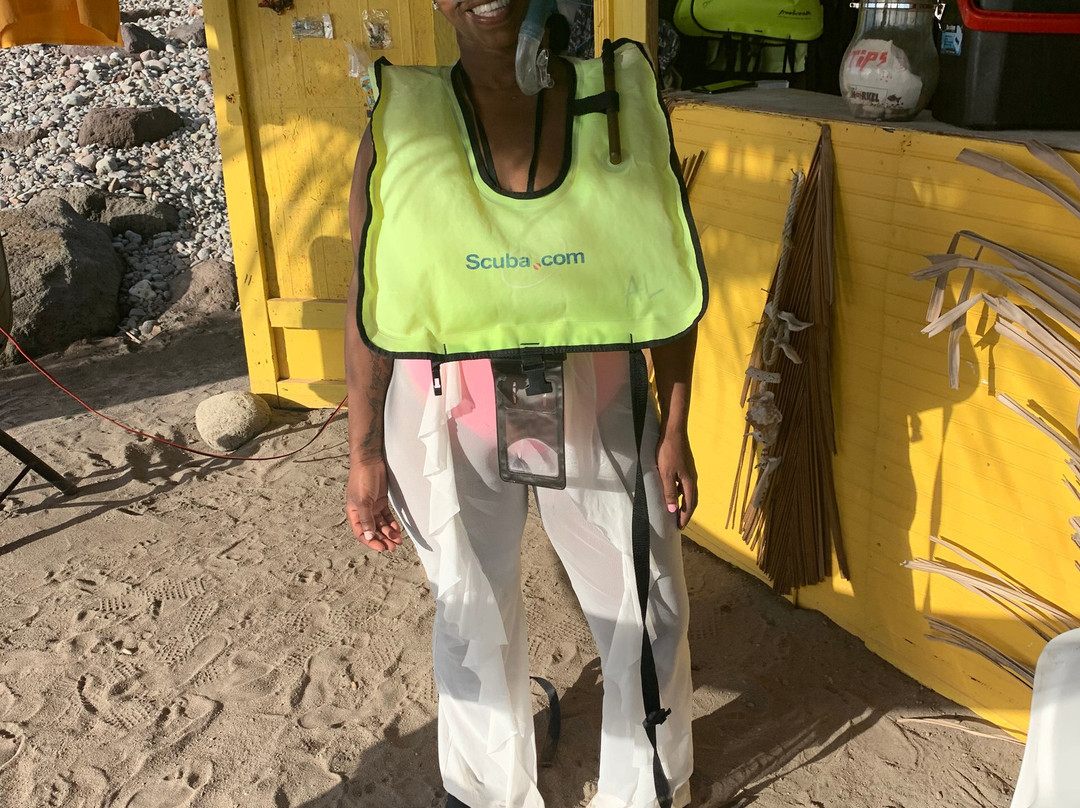 Champagne Reef Dive & Snorkel-罗索必去景点