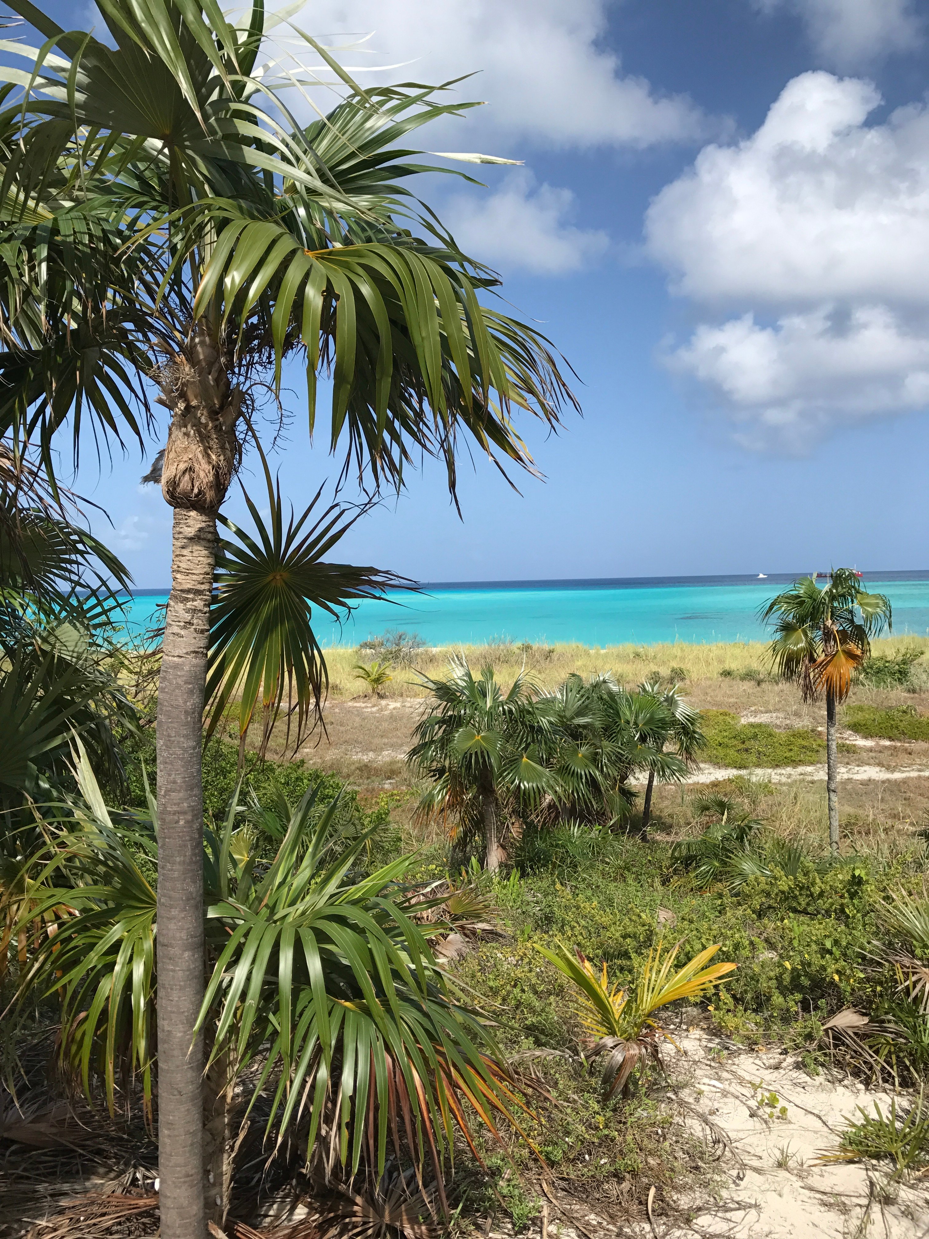 Bimini Cove Resort & Marina-portrait