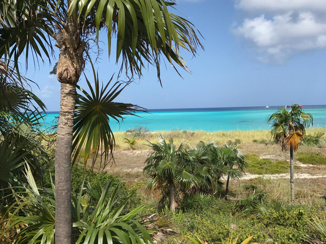 Bimini Cove Resort & Marina主图