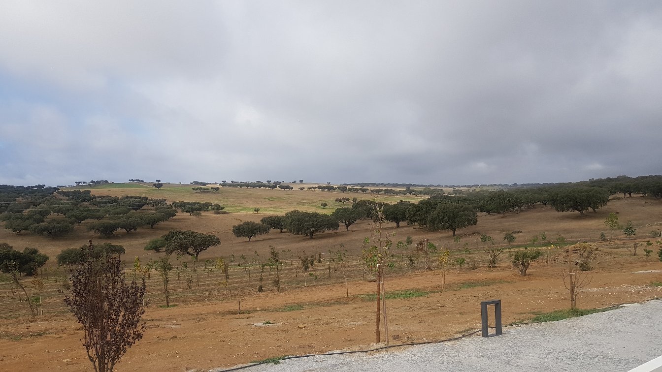 Monte Dos Cordeiros-官方