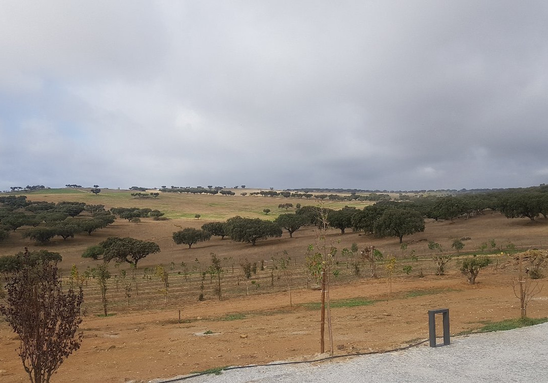 Juromenha酒店住宿-Monte Dos Cordeiros