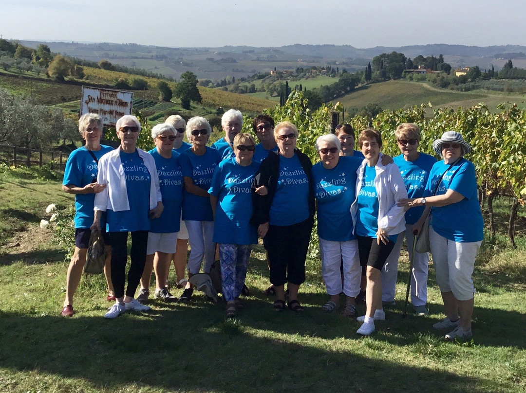 Italian Private Tours in English景点图片