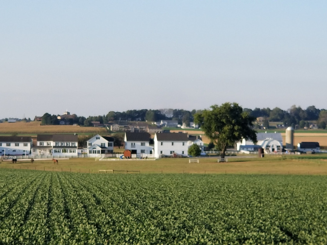 Old Order Amish Tours-Ronks必去景点