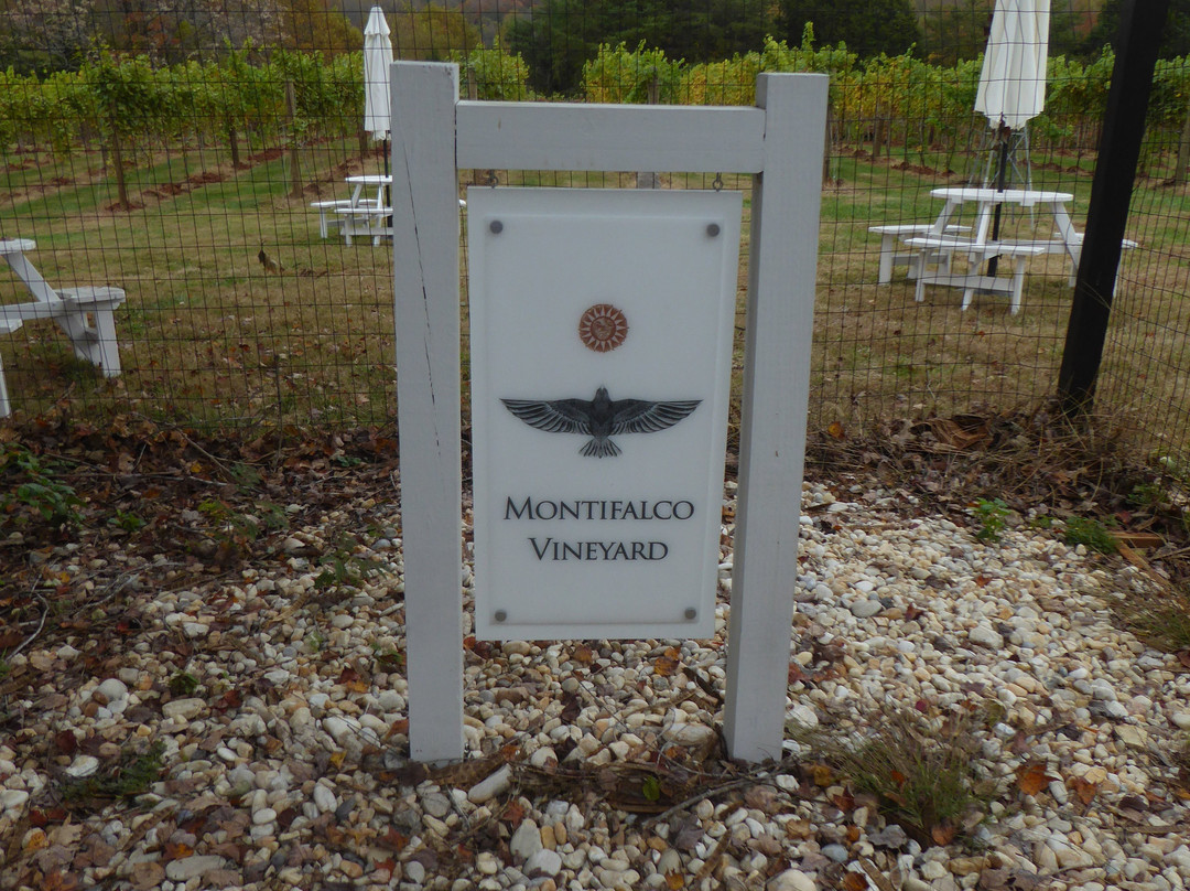 Montifalco Vineyard景点图片