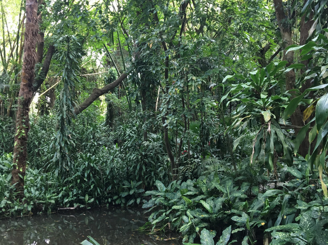 拉凡尼勒自然公园-里维耶尔德桑吉耶必去景点