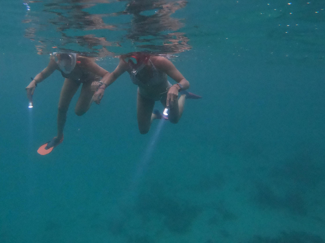 Night Snorkeling Adventure /Mauritius-Pointe d'Esny必去景点