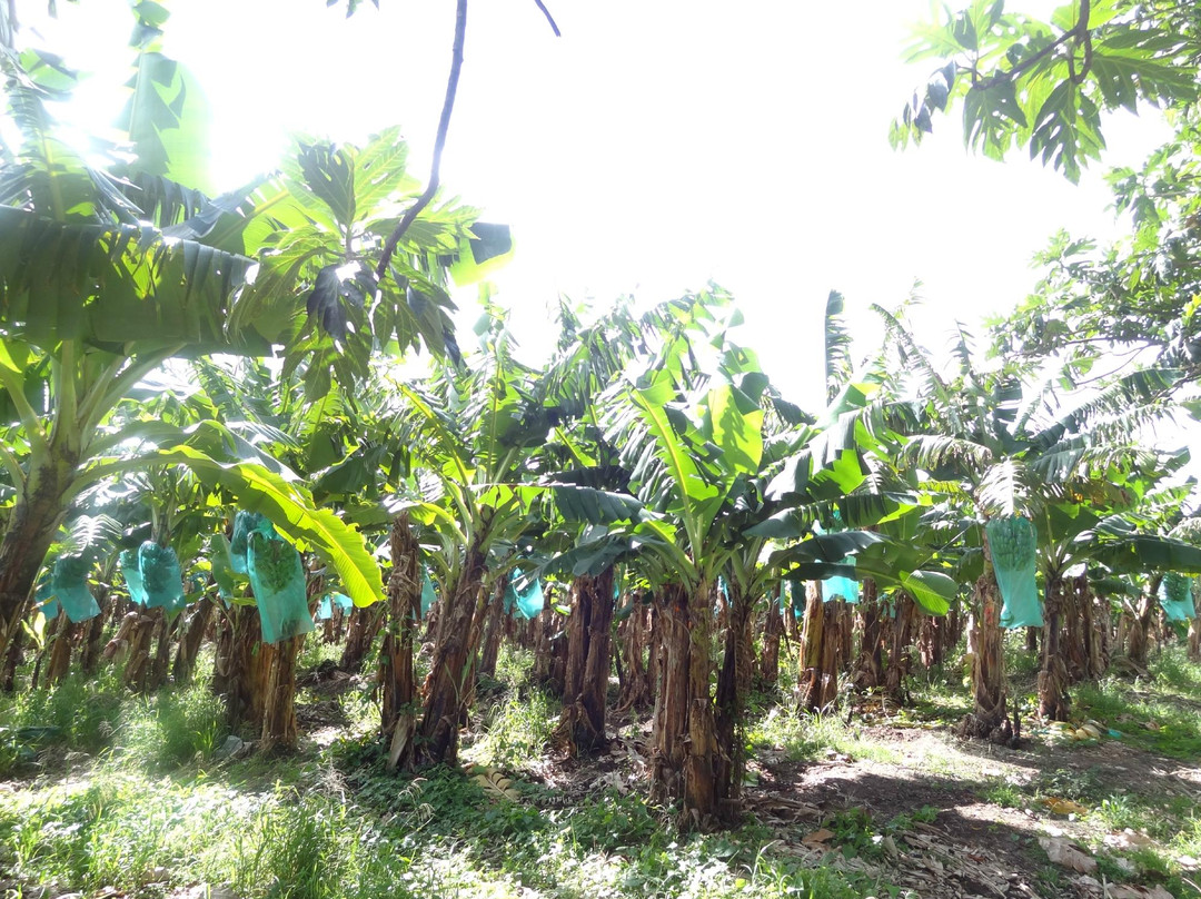 Sentier Nature Et Decouverte Chalvet