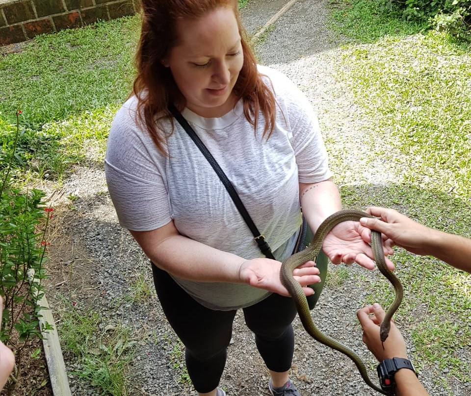 Serranía del nudo-Dosquebradas必去景点