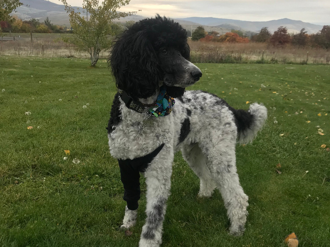 Comfort Inn & Suites主图