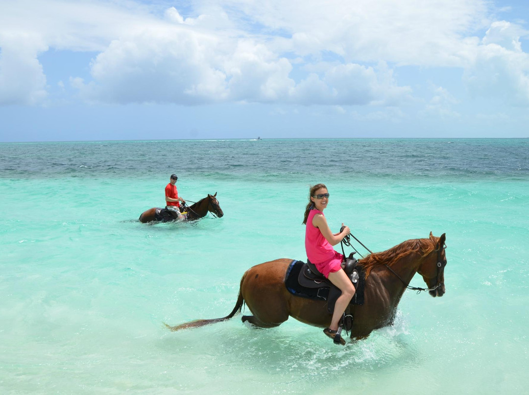 Caicos Coral景点图片