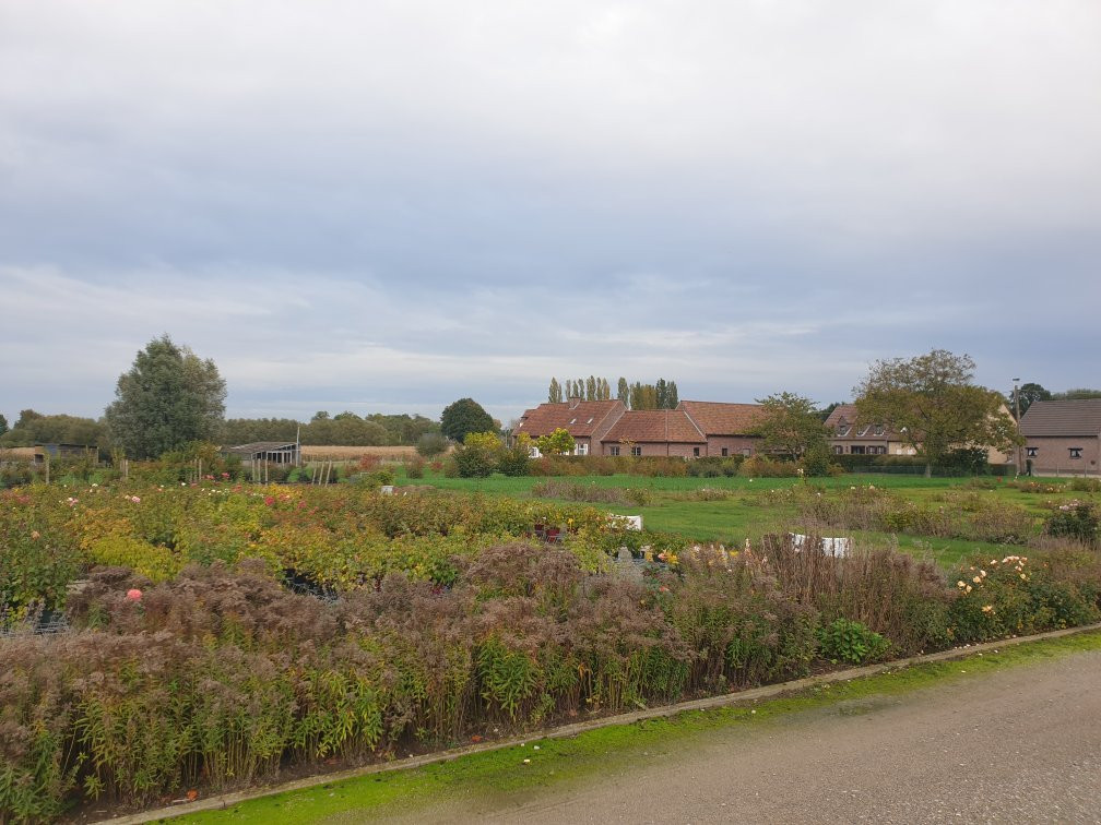 La Vie en Roses B&B主图