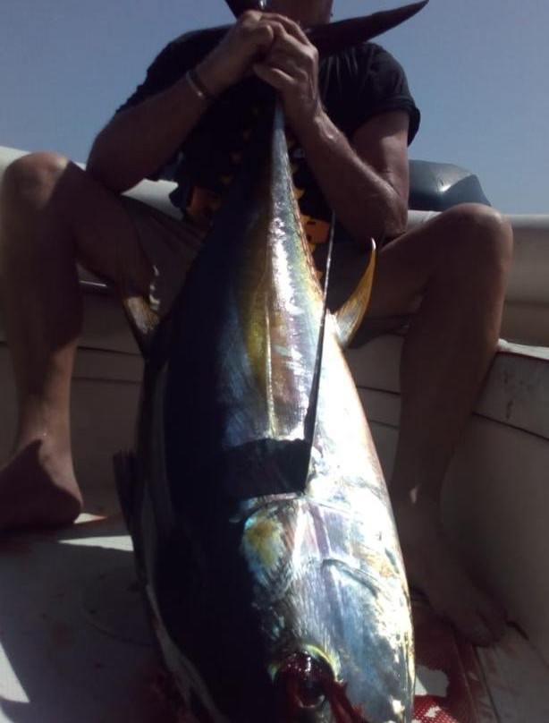 Grand City Centre (GCC) Tours-马斯喀特必去景点