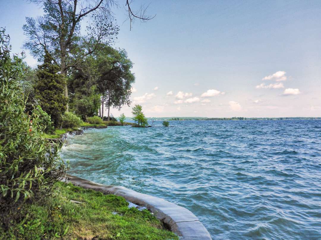 Brown’s Bay Day Park景点图片