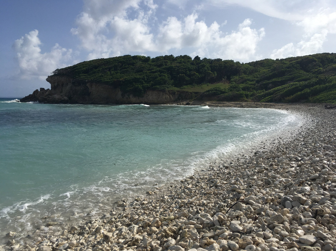 Poyo Surf Club-Le Moule必去景点