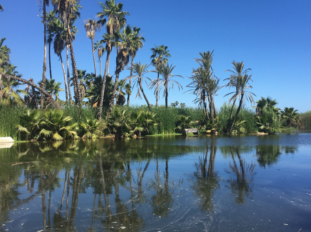 San Jose's Estuary and Bird Sanctuary景点图片