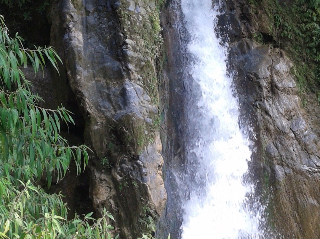 Bhatta Falls景点图片