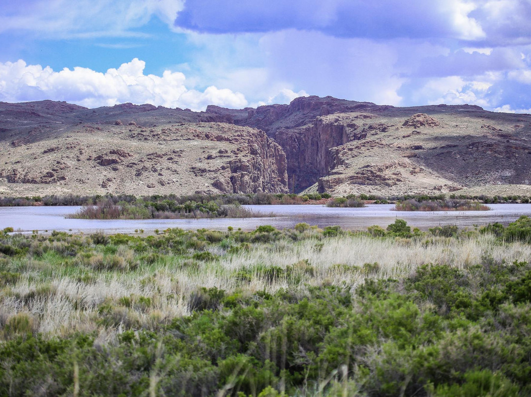 Sheldon National Wildlife Refuge景点图片