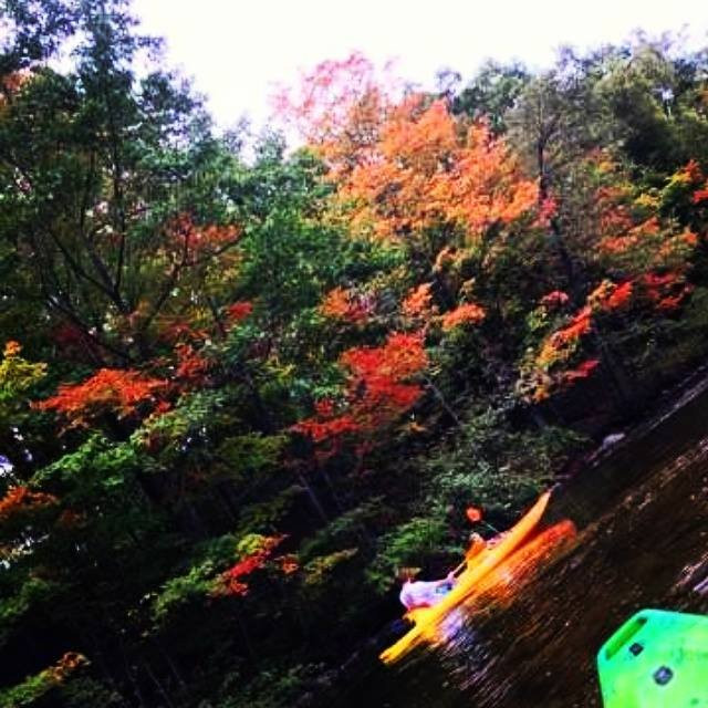 Buckley's Mountainside Canoes-Mount Pleasant必去景点