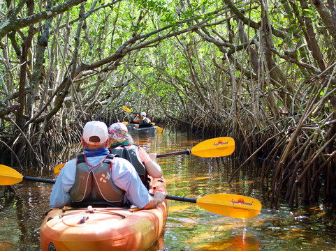 Adventure Paddle Tours-那不勒斯必去景点