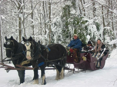 Northfield旅游景点-Wood Acres Farm