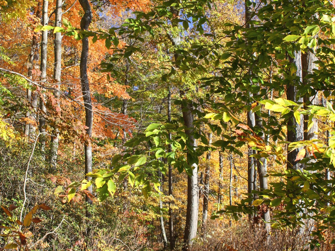 Flanders Nature Center