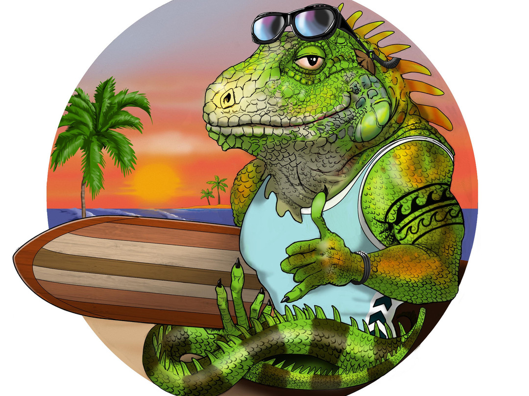 Green Iguana Rentals-Indian Shores必去景点