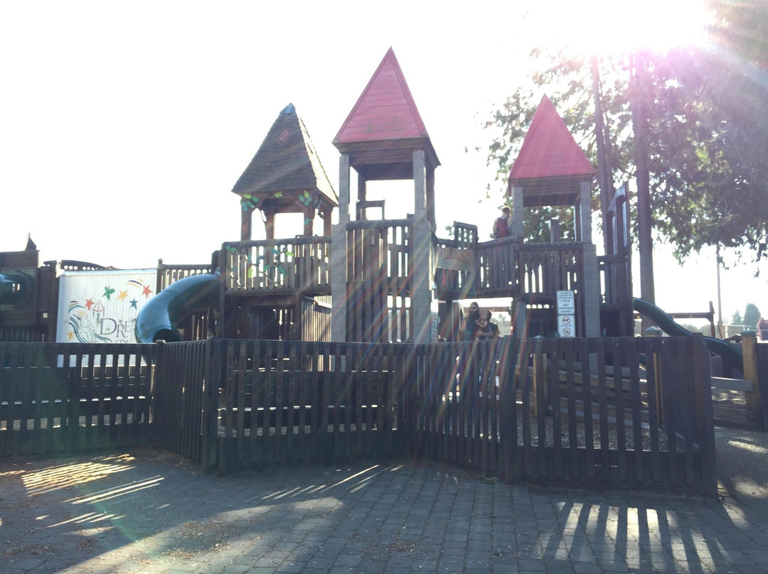 Dream Playground景点图片
