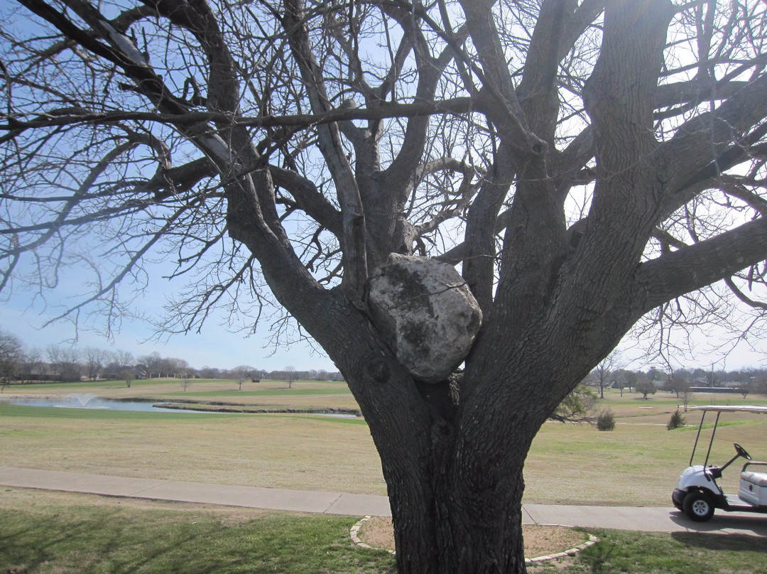 Stonetree Golf Club景点图片