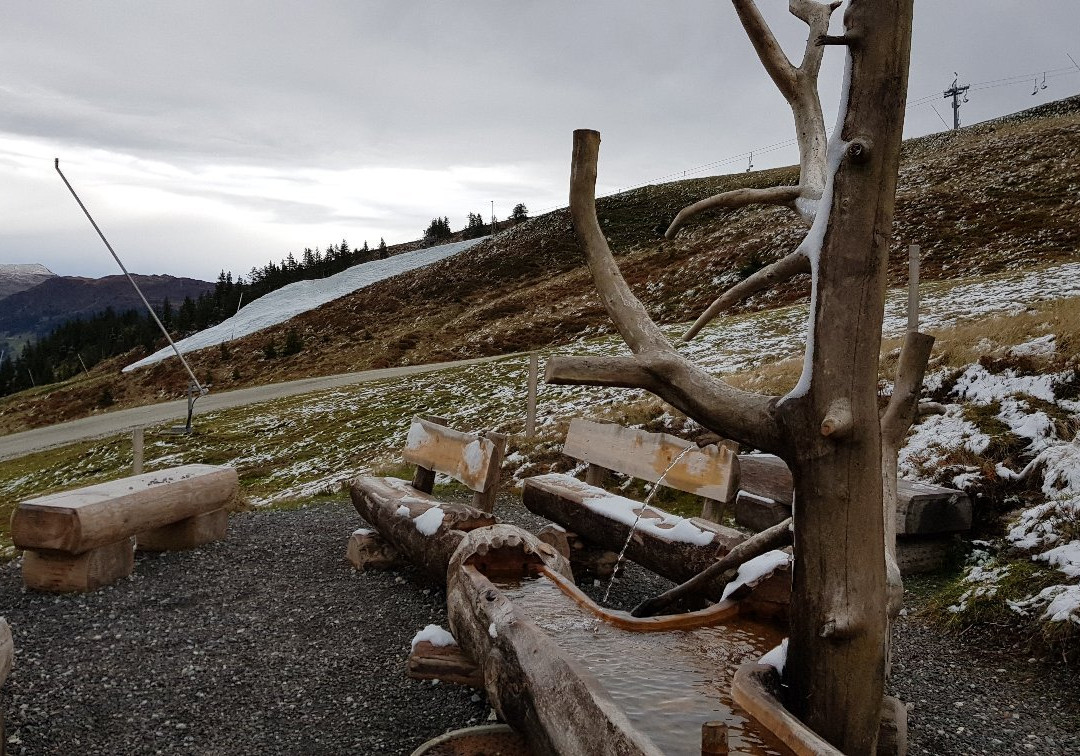 Kitzbuhel Alps Panorama Lift-Hollersbach im Pinzgau必去景点