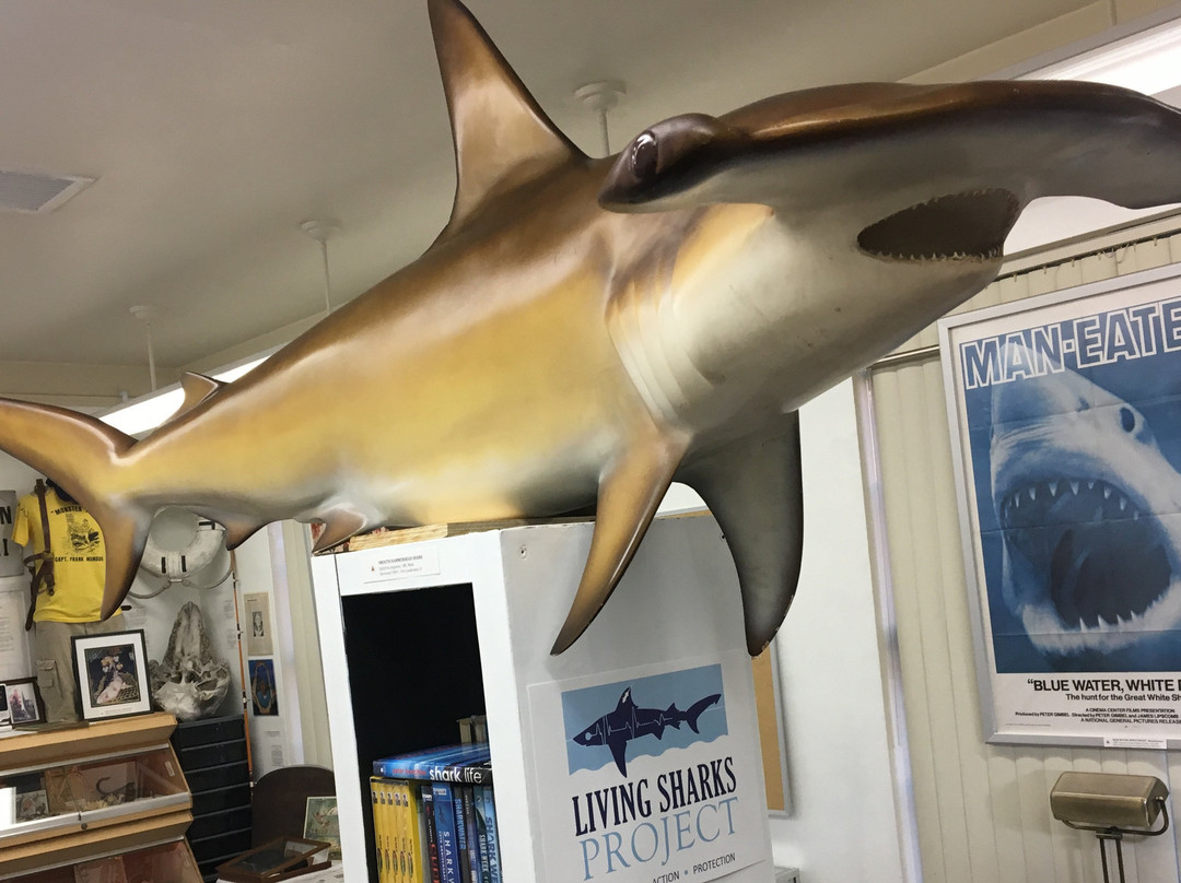 Living Sharks Museum & Research Center景点图片