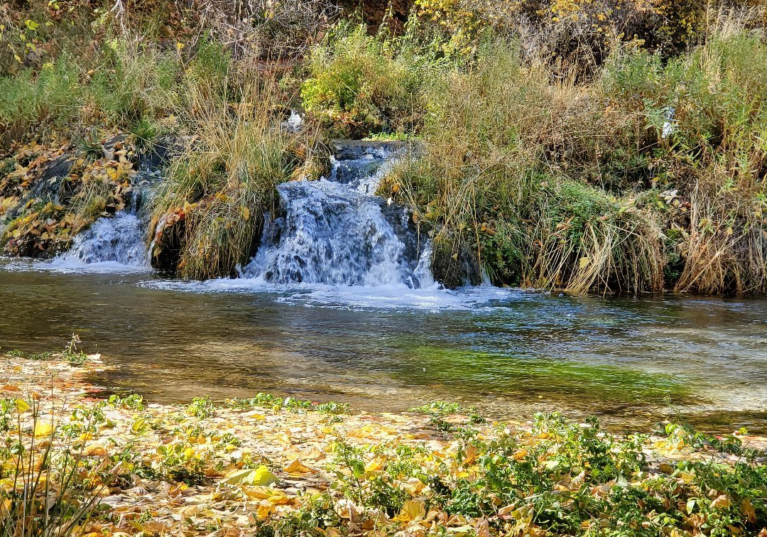 Cascade Springs-Charleston必去景点