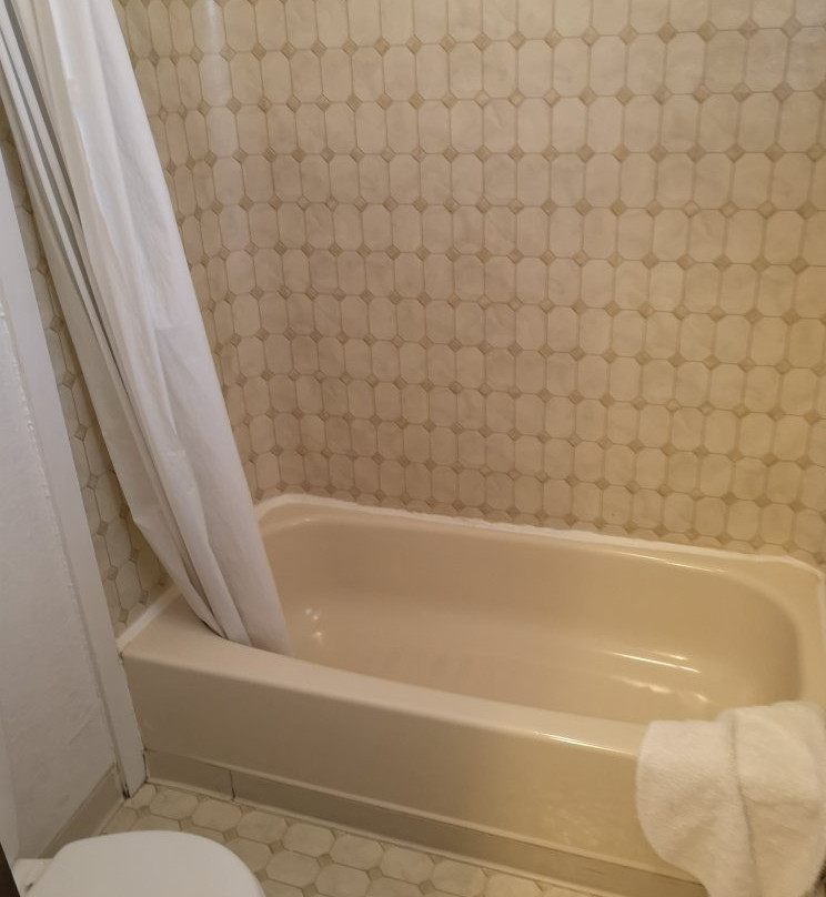 The Golden Bear主图